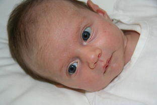正规供卵公司：【怀孕妊娠合并甲状腺功能亢进甲亢怎么吃丙硫氧嘧啶】